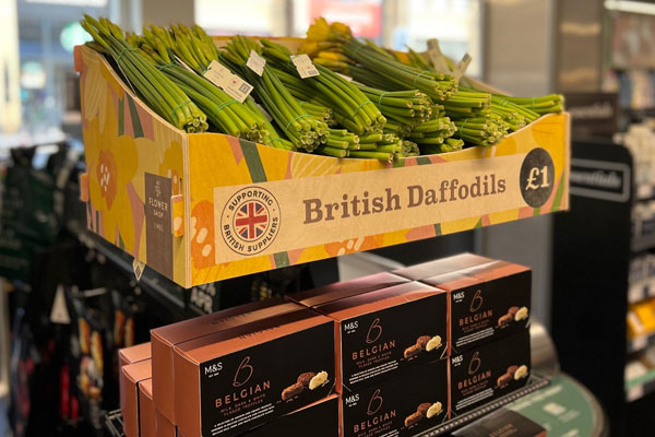 M&S Daffodils unit at the tills