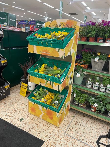 Morrison's Seasonal Slot-together Daffodil Display.