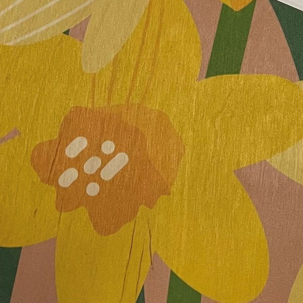 Daffs-close